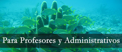 incripciones cursos de buceo UN
