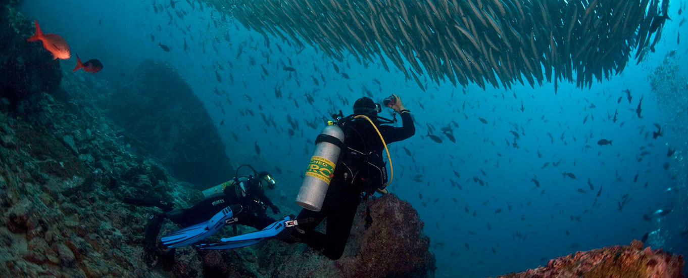 cursos de buceo